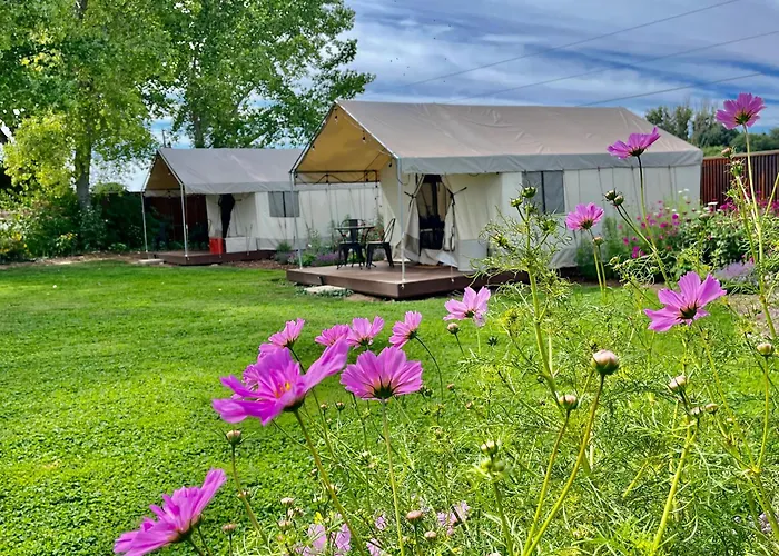 Cosmo Glamping Tent At Zenzen Gardens