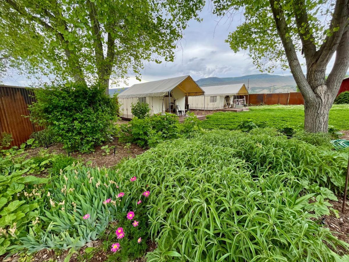 Cosmo Glamping Tent At Zenzen Gardens Luxury tent