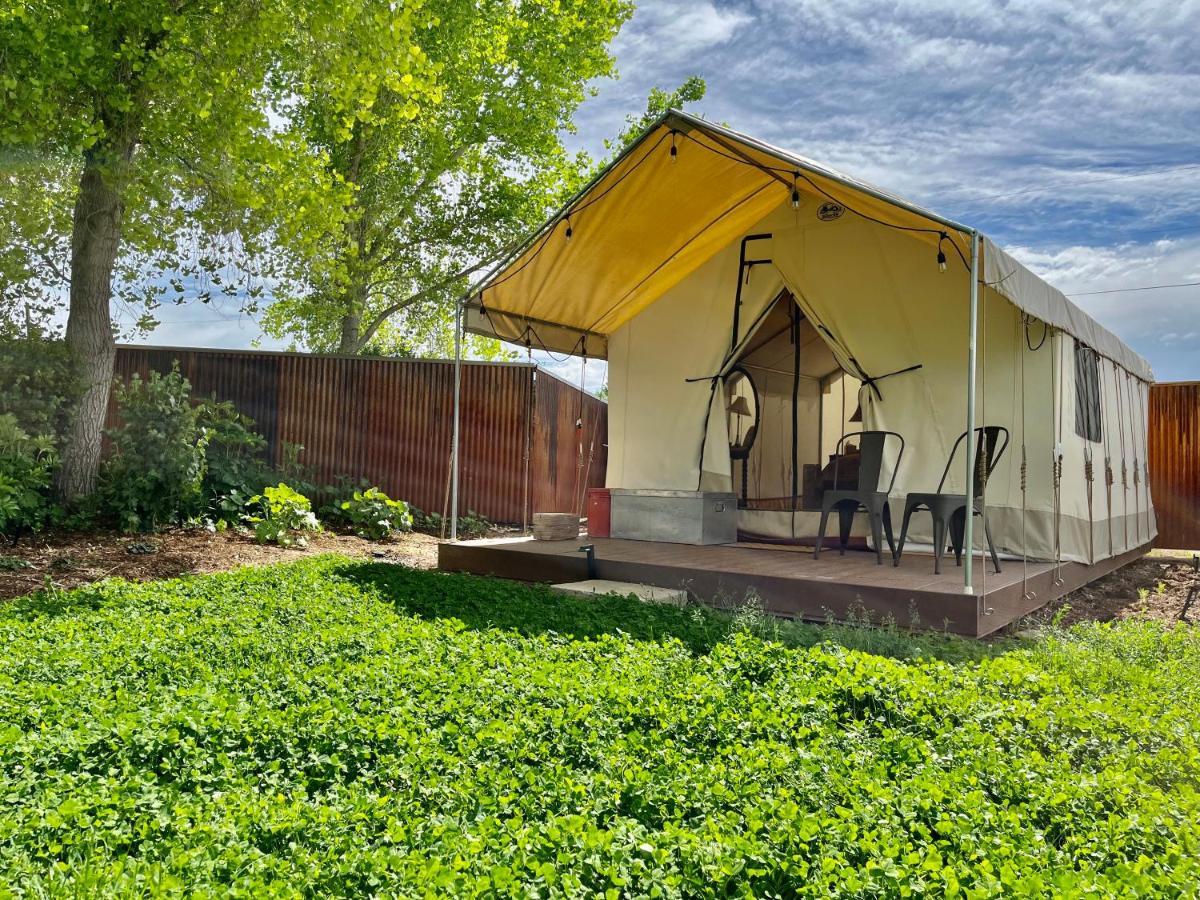 Cosmo Glamping Tent At Zenzen Gardens Luxury tent *