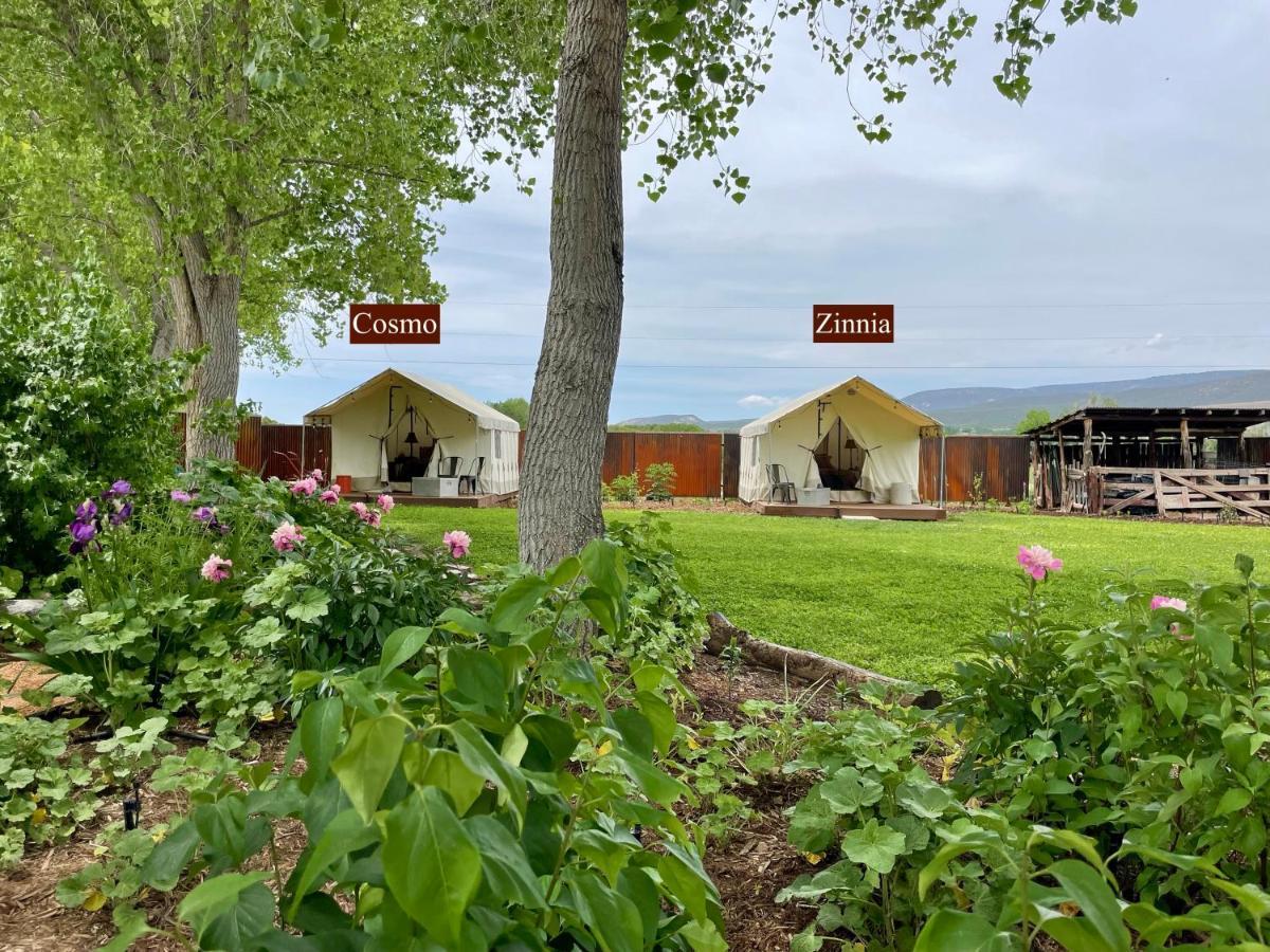 Cosmo Glamping Tent At Zenzen Gardens Luxury tent *